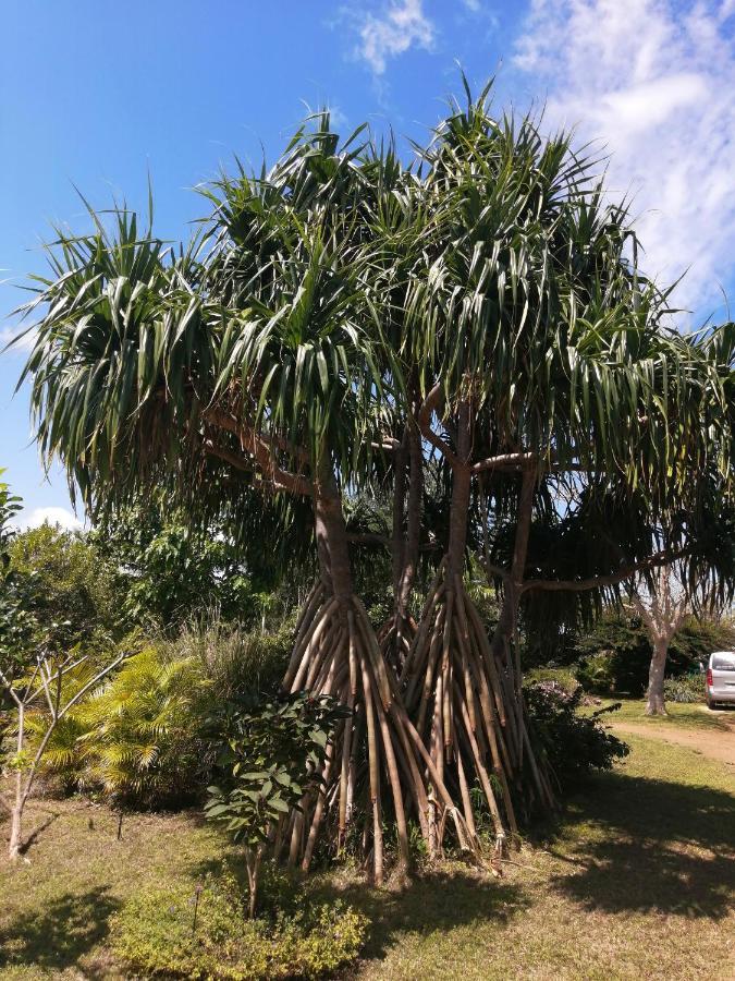 Niaouli Lodge Bourail Ngoại thất bức ảnh